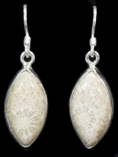 Beautiful Fossil Coral Sunburst Earrings - Sterling Silver #41217